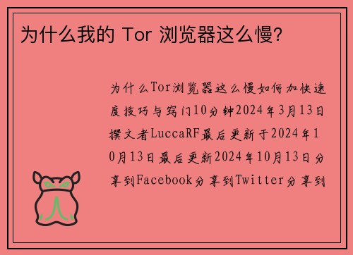 为什么我的 Tor 浏览器这么慢？ 