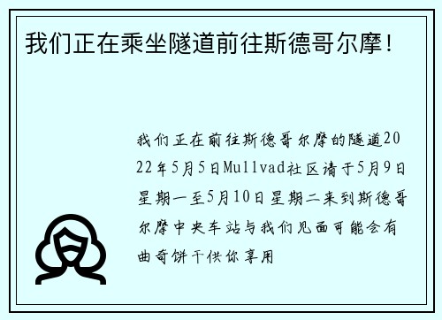 我们正在乘坐隧道前往斯德哥尔摩！